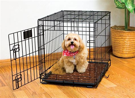 The Ins and Outs of Crate Training for Dogs