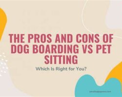 The Pros and Cons of Dog Boarding vs. Pet Sitting Services