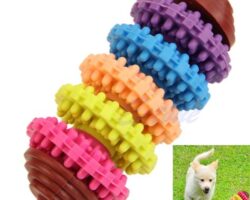 The Ultimate Guide to Choosing Dog Toys for Teething Puppies