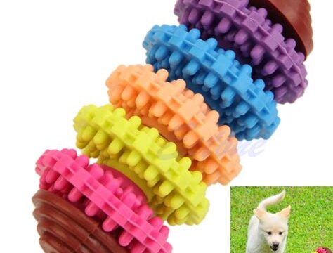 The Ultimate Guide to Choosing Dog Toys for Teething Puppies