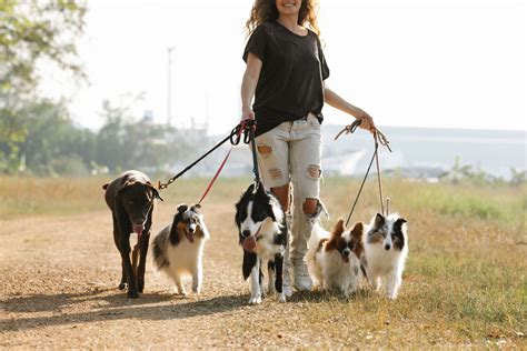 Tips for Choosing the Best Dog Walker for Your Pet's Daily Exercise