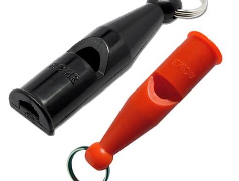 Whistle While You Work: Incorporating a Dog Training Whistle